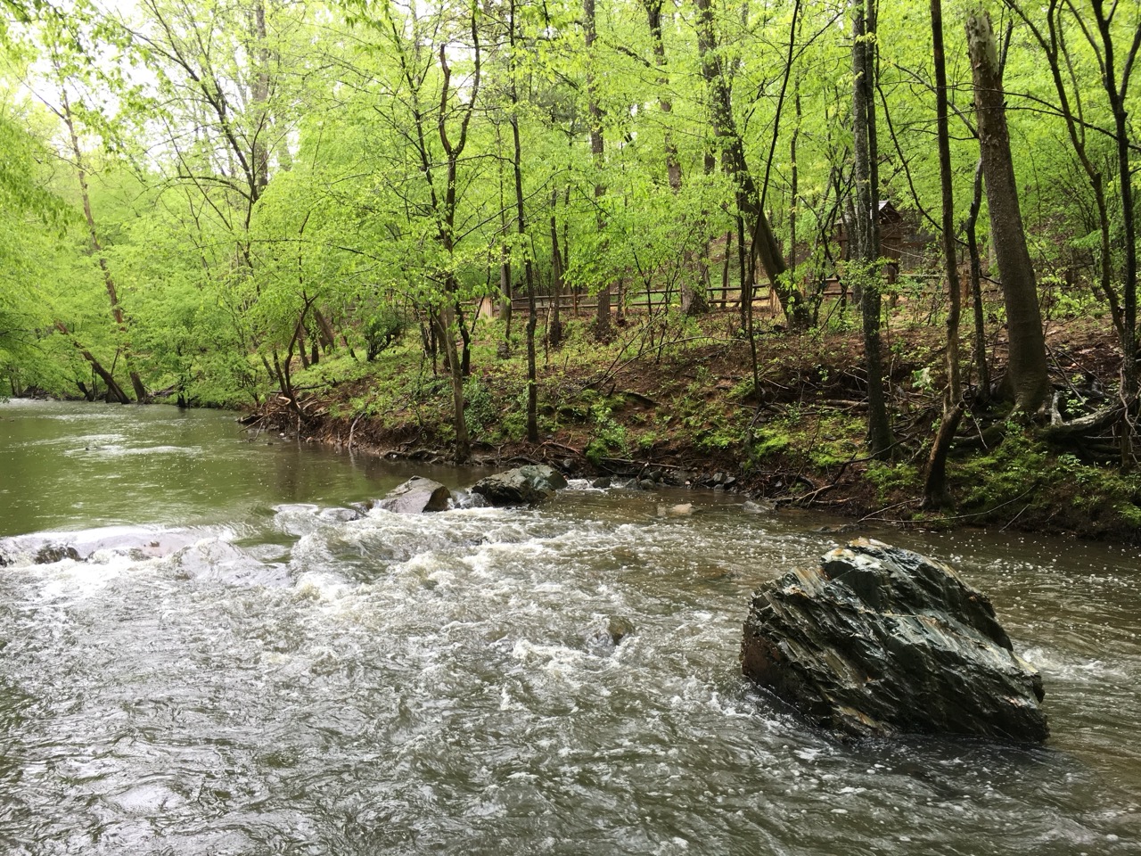 A picture of Morgan Creek in the springtime.